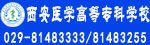 博捷体育官网成绩查询